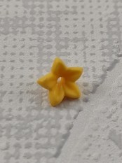 30219293_30254943_30512442