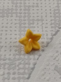 30219293_30254943_30512442