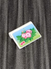 30248052_30516932_1_V3_a