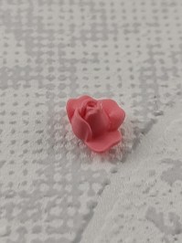 30250020_30513720_rosa