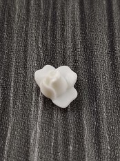 30250720_30512592_weiss