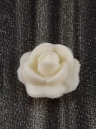 30250740_V2