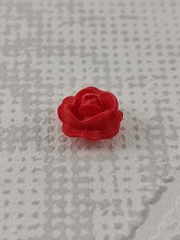 30253050_30513092_rot