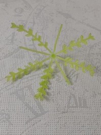 30514760_1_a