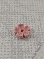 Z10000027_V1_blassrosa