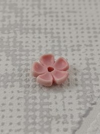 Z10000027_V1_blassrosa